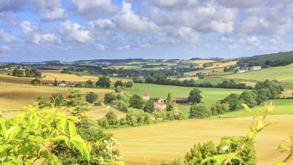 Terres agricoles Occitanie